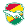 JEF United Ichihara Chiba